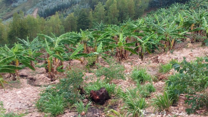 Uru rutoki ruri hirya y'ingo 7 zituranye no kwa Mugambira zategereje kwimurwa amaso akaba yaraheze mu kirere