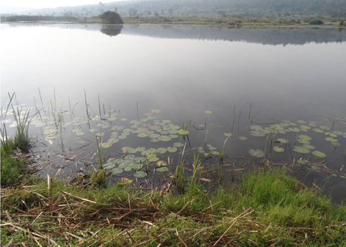 Ikiyaga cya Kamatana kirimo amarebe