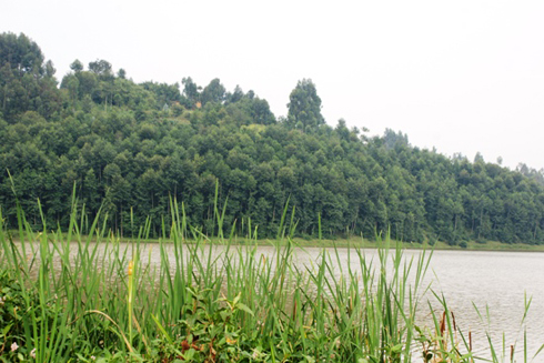 Amashyamba n'ibyatsi bikikije inkengero z'ikiyaga bikirinda gukama no kwangirika kw'amazi n'urusobe rw'ibinyabuzima.