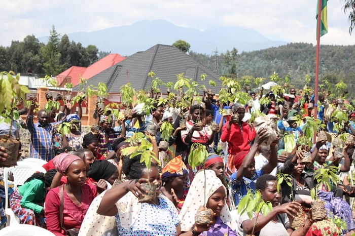 Ibiti bisaga 2000 byatewe, abaturage babyitezeho kubafasha kuzahura imirire