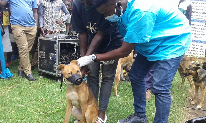 Mbere yo kuzikingira babanzaga kuzambika udupfukamunwa ngo zitabarya
