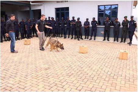 Imbwa imwe ishobora gukora akazi kakorwaga n