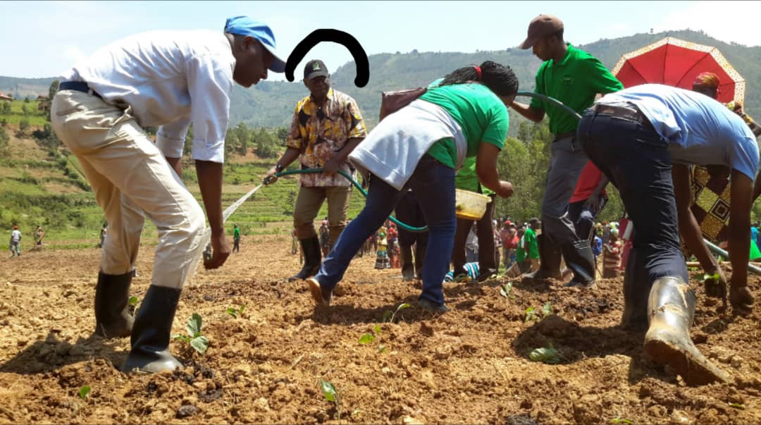 Imirima iri mu gishanga cya Muyanza izajya yuhirizwa amazi yakusanyirijwe mu rugomero