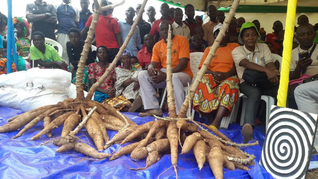Minisitiri Mukeshimana yamurikiwe umusaruro wera mu Karere ka Kirehe