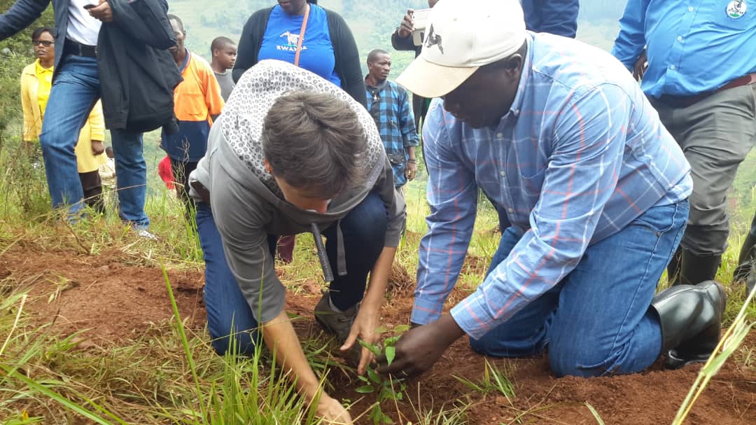 Guv Gatabazi nawe uari muri uyu muganda
