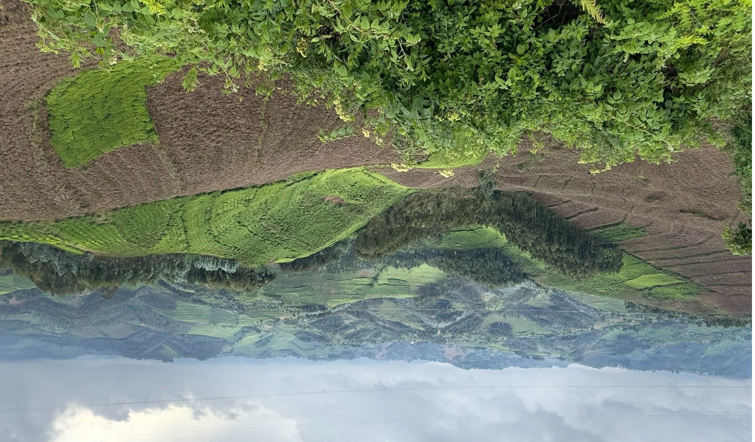 Igishushanyo mbonera kizatuma ubutaka bwa Rutsiro bukoreshwa neza (Ifoto: GGGI)