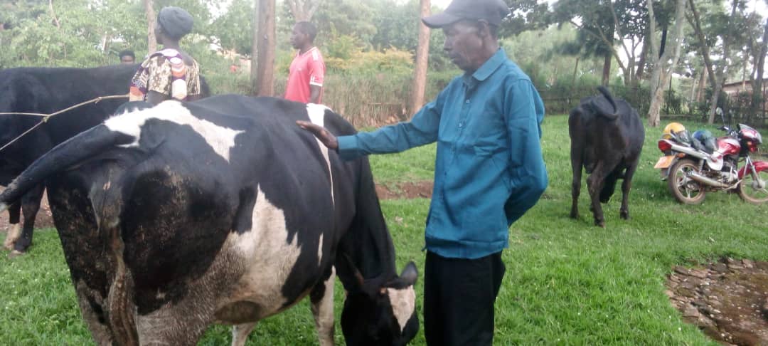 Yishimiye kongera kubona inka ye