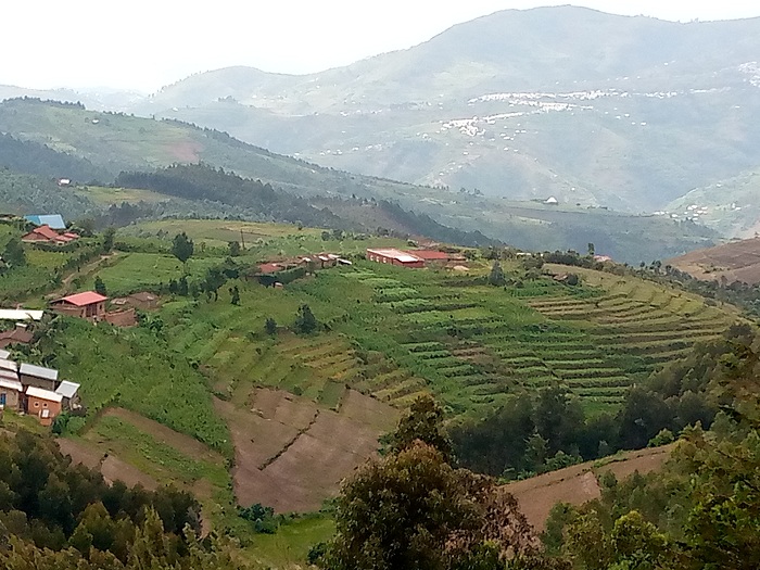 Umusozi interahamwe zashyiragaho imbunda zirasa Abasesero