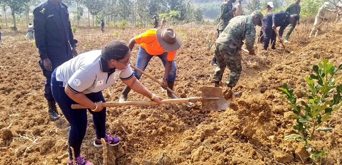  Bibanze ku gusibura imirwanyasuri 