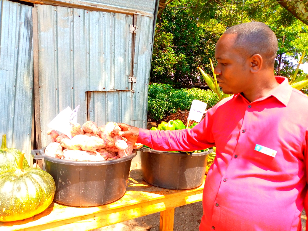 Ntashyeneza Théophile wigisha ubuhinzi Iwawa