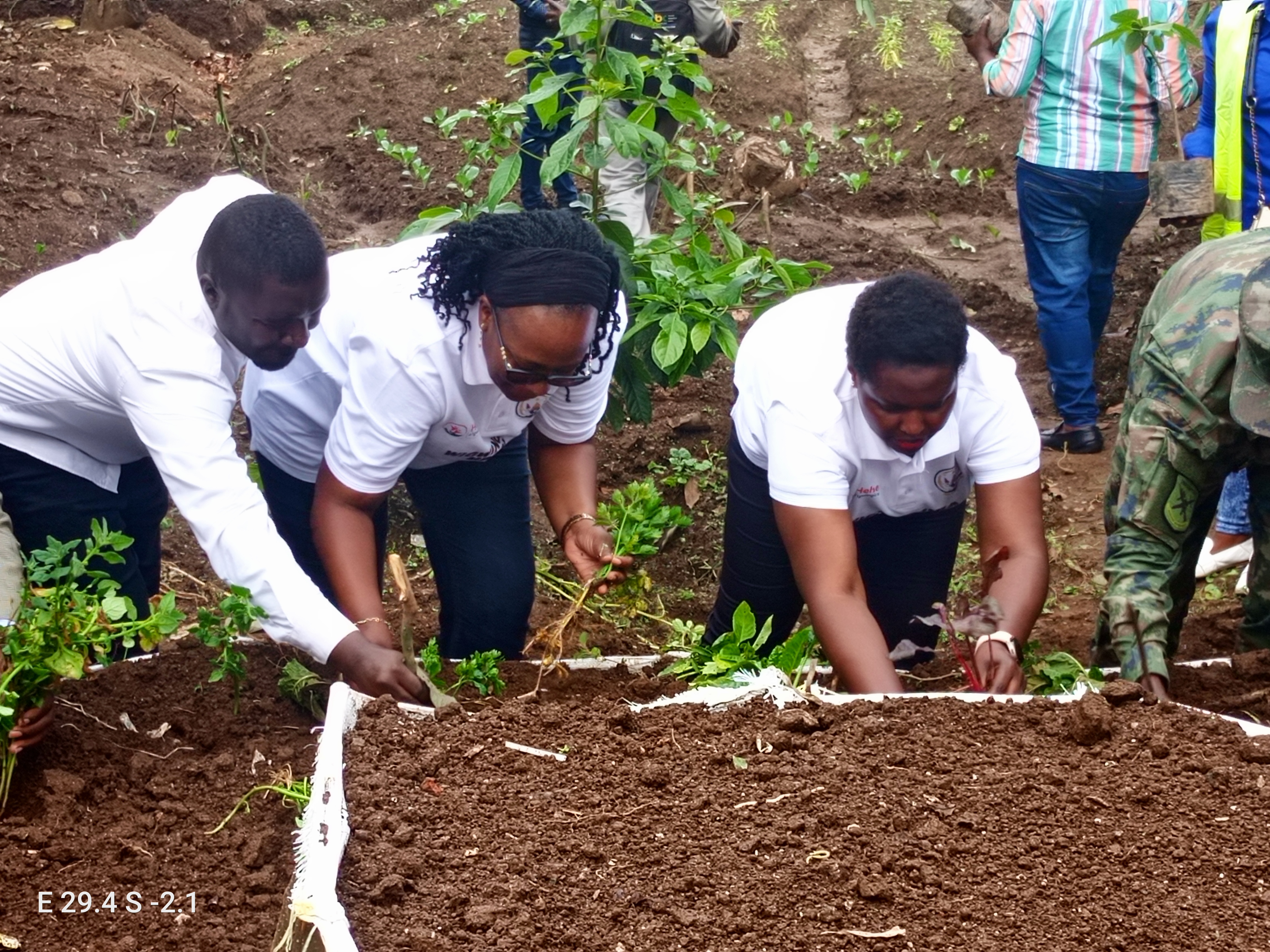 Hakozwe n'uturima tw'igikoni 