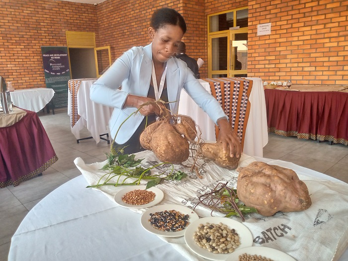 Ubuhinzi bubungabunga ubutaka butanga umusaruro mwiza, aho ikijumba gishobora kuruta ubunini umwumbati