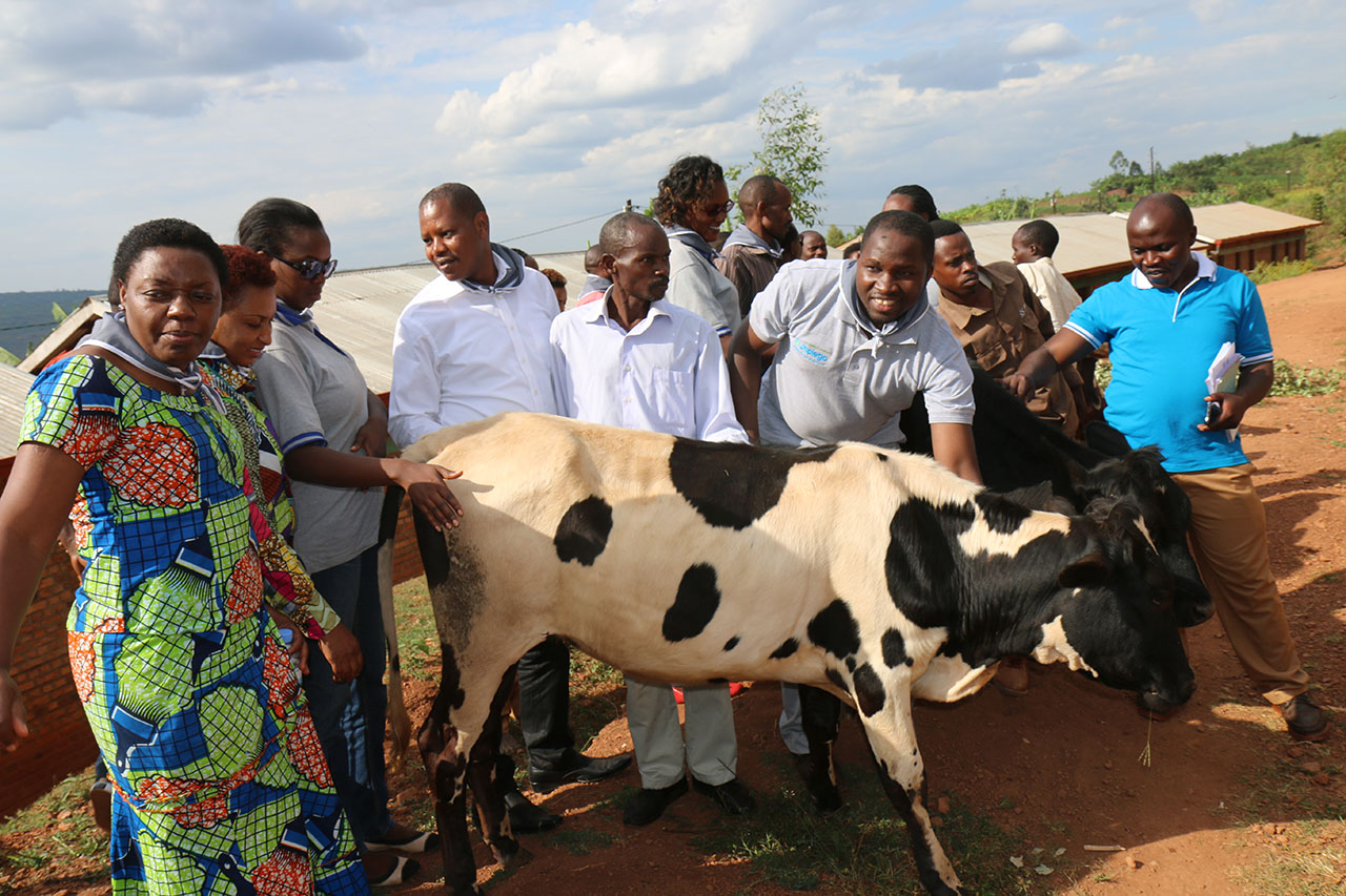 Bariyegeranije bakusanya inkunga ya Milioni 1,200 Frws