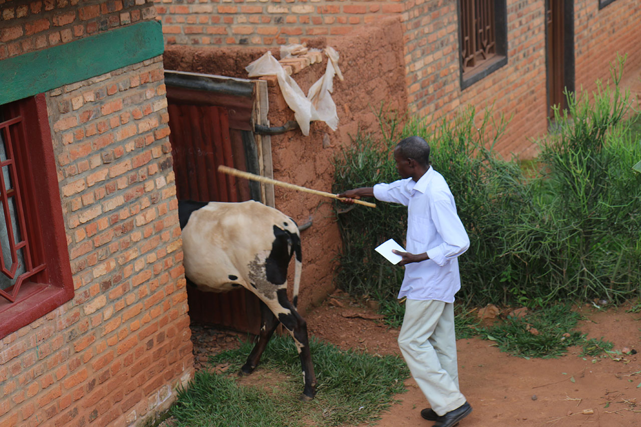 Ayinjiza mu rugo ...