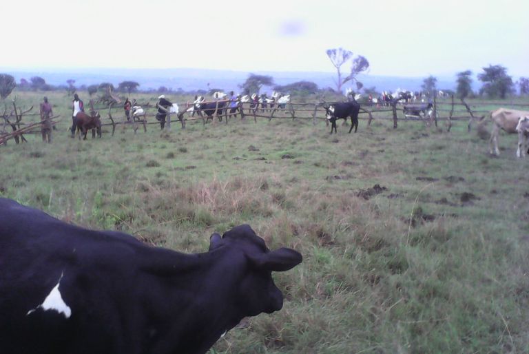 Urwo ni urwuri rwa AERG rufite hegitare 130.
