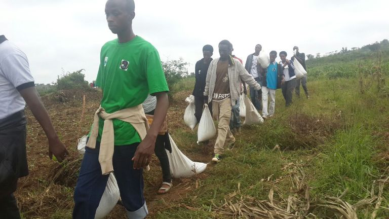 Aha batwaraga ifumbire mu rutoki ruri kwitabwaho.