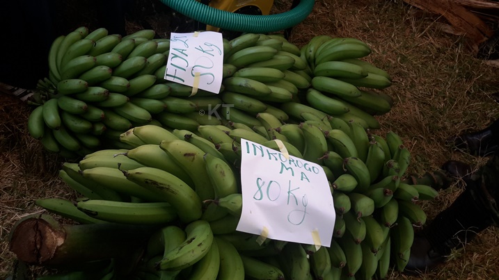 Imibereho myiza bagezeho bayibonera no mu iterambere ry'ubuhinzi bwa kijyambere.