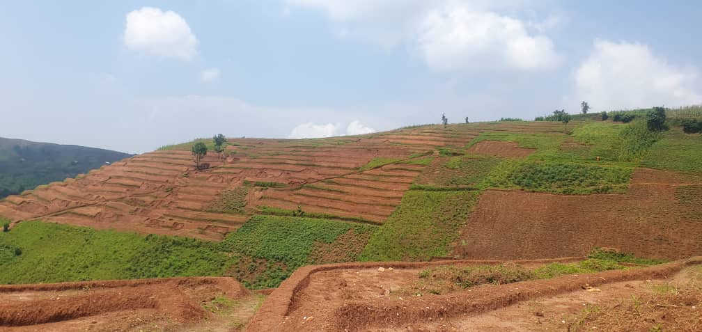 Ahari gukorwa ayo materasi y'indinganire habonetse imibiri