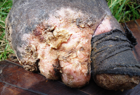 Amano yavuyemo inzara kandi aninda ibintu bimeze nk