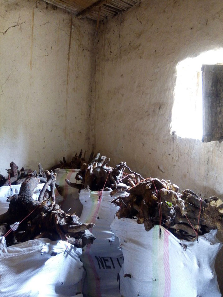 Imifuka ipakiyemo ibiti by'imishikiri yafatiwe mu rugo rwa Twamaziyumva Antoine uyobora umudugudu wa Rwamanyoni.