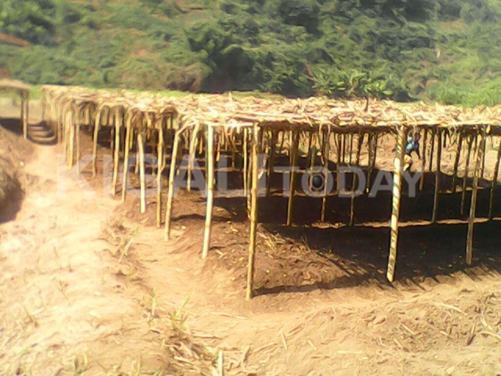 Imigano 88.800 yarahumbitswe.