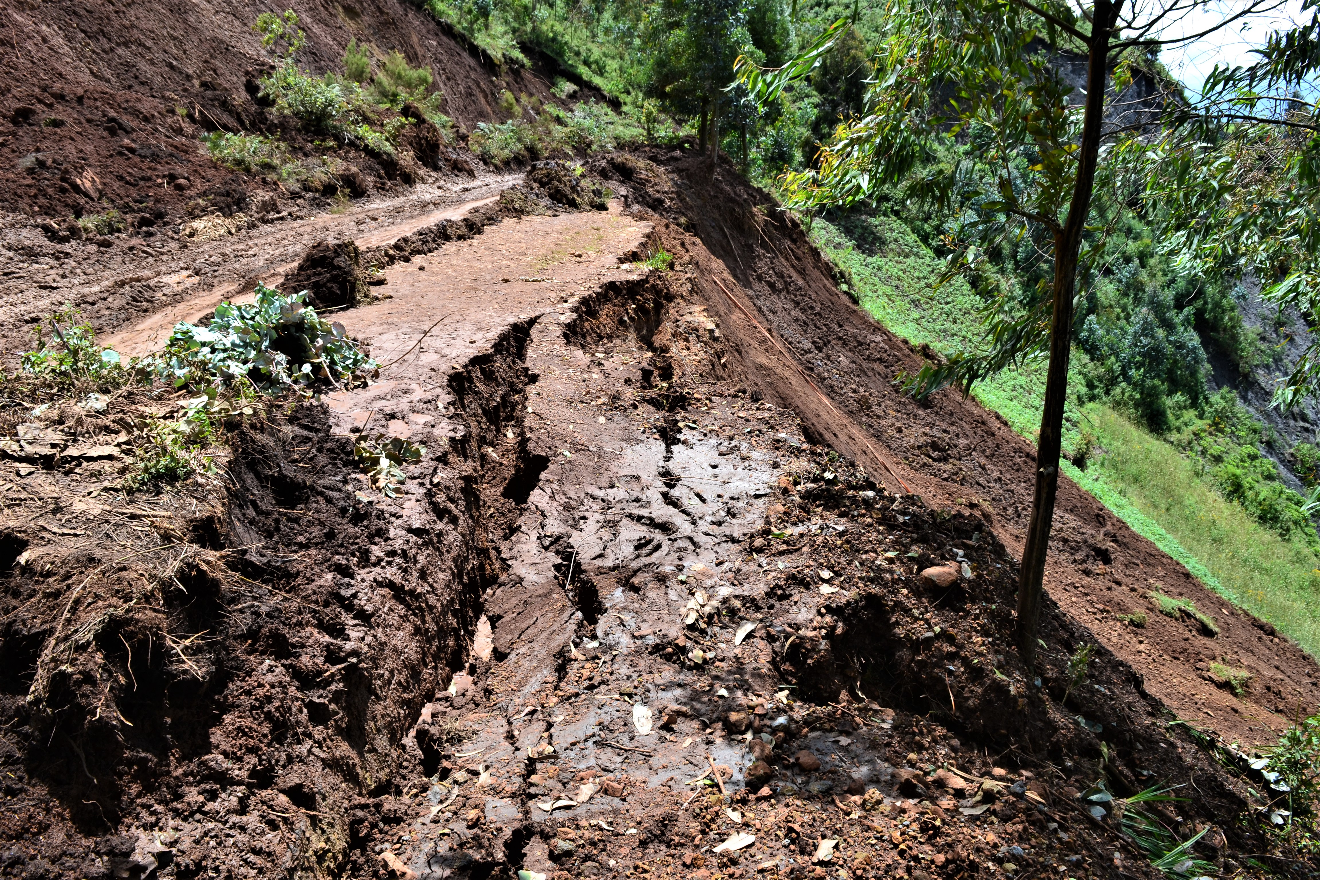 Imihanda yarangiritse kubera inkangu