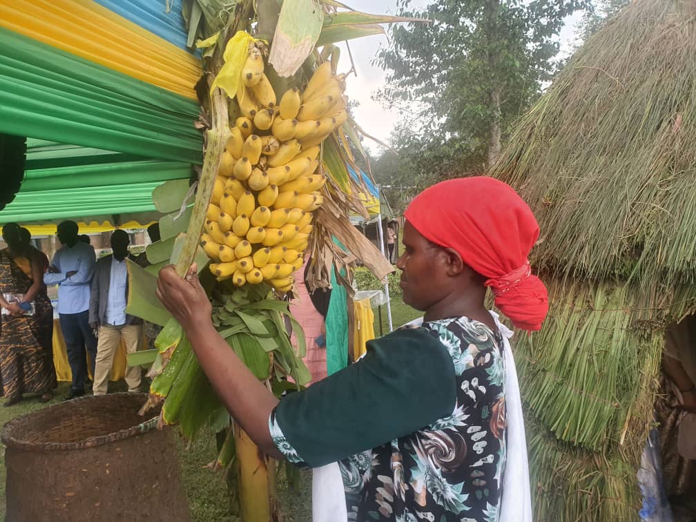 Imineke yo mu Rwanda iri mu biribwa byakunzwe na benshi