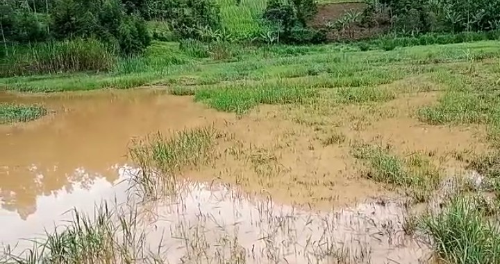 Iyi mirima yarengewe n