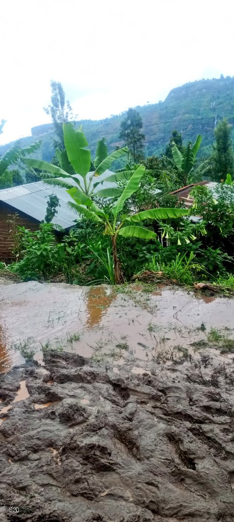 Imirima yarengewe n'imyuzure