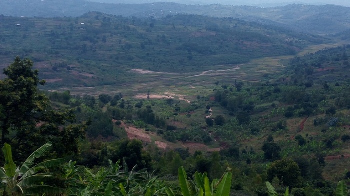 Imirima yo mu kabande yagiyemo umusenyi wazanywe n'amazi aturuka mu muhanda