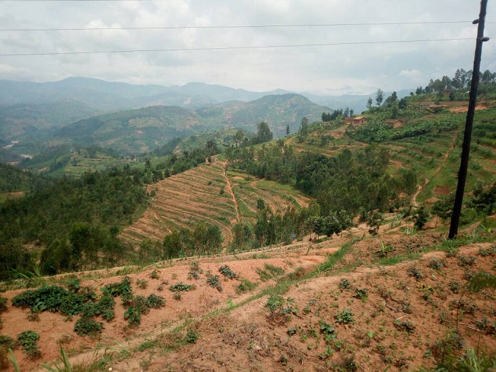 Imisozi ituriye Nyabarongo ifite ubuhaname bukabije bityo isuri ikagira ubukana