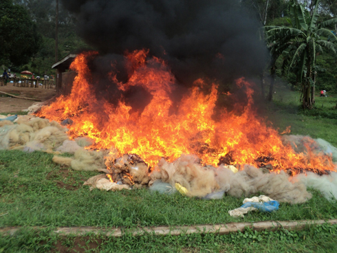 Imitego ya kaningini 150 yatwitswe.