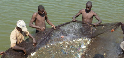 Imwe mu mitego itemewe yafashwe ikaba ikoreshwa n