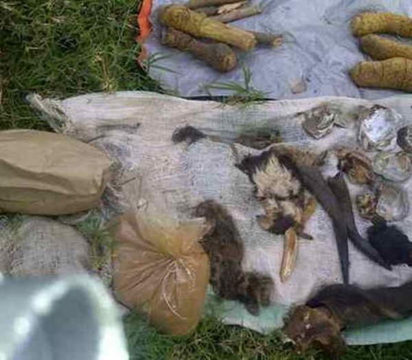 Hari abakoresha ibintu bidasobanutse ngo baravura inyatsi ari bo bamaganwa