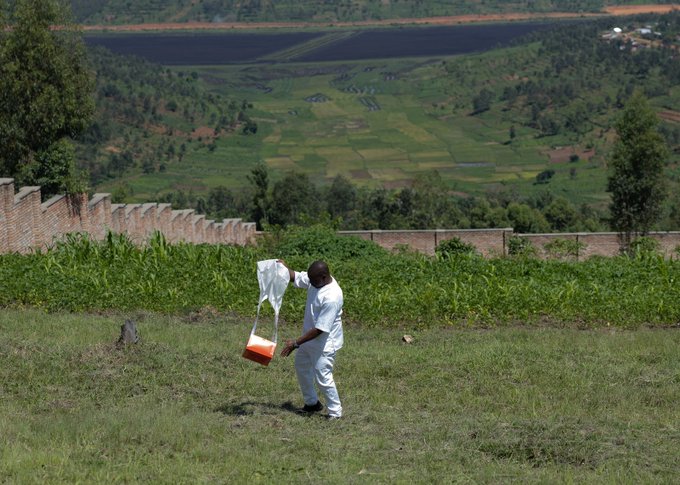 Imiti ya Malariya y'igikatu izanwe na drone yakirwa n'umukozi wo kwa muganga 