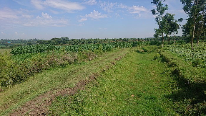 Imiyoboro y'amazi yarumye