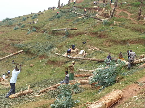 Ishyamba bari barimazeho.