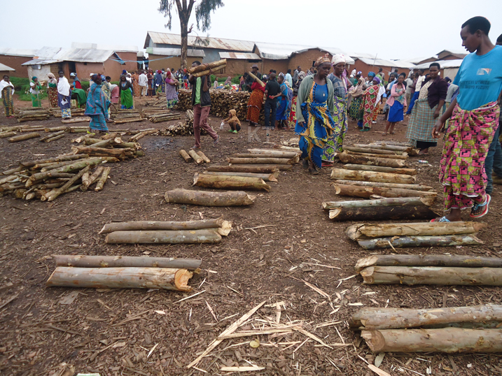 Impunzi zikoresha ibiti byinshi mu gucana ku buryo amashyamba yegereye inkambi yangiritse