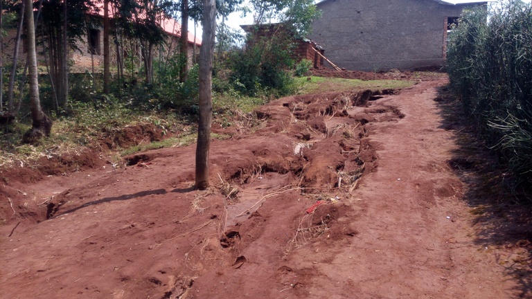 Uyu muhanda na wo wasenywe n'iyi mvura yishe inkoko z'uyu mugabo