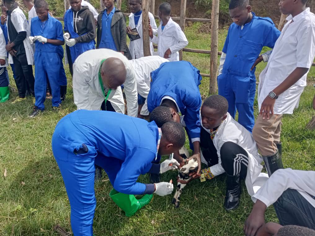 Aba barimenyereza mu buvuzi bw'amatungo