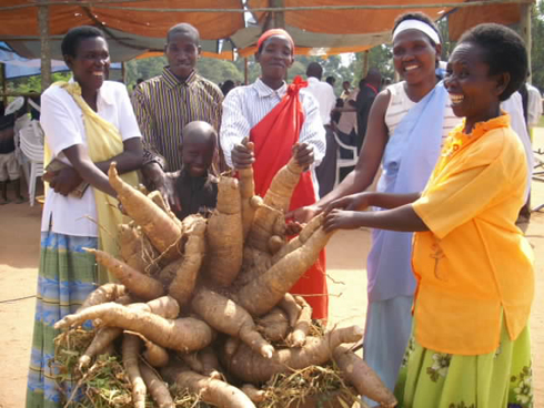 Imyumbati Ruboya yeza abaturanyi be barayireba bakayitangarira.