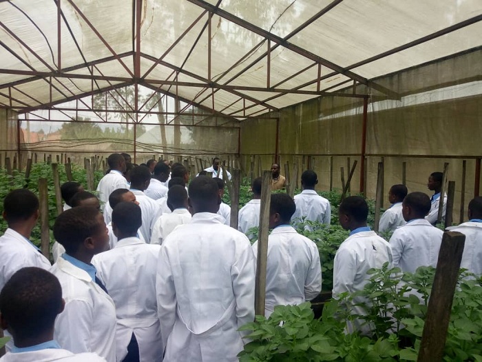 Beretswe n'uburyo bwo gutubura imbuto basobanurirwa uburyo imbuto y'ibirayi iboneka