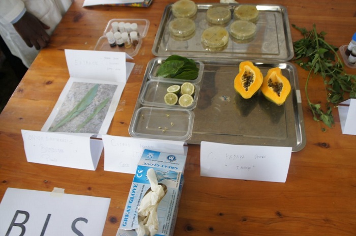 Batunganya n'ibikomoka ku mbuto