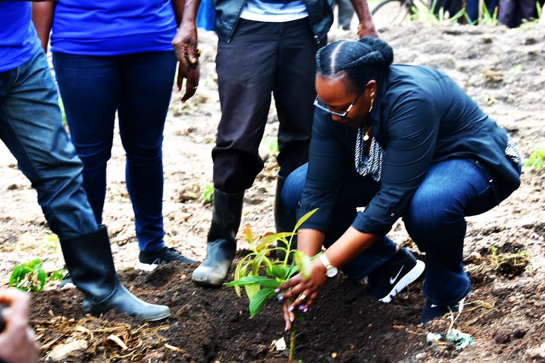 Minisitiri Ingabire atera avoka