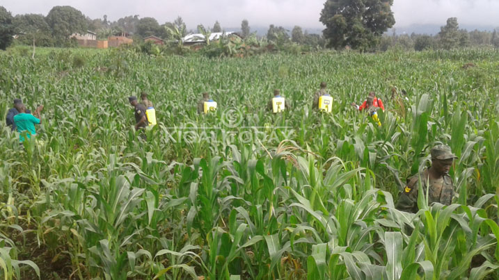 Ingabo za RDF na Police y