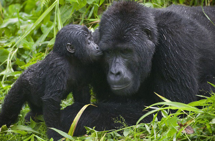 Bimwe mu byazamuye u Rwanda harimo n'ubukerarugendo