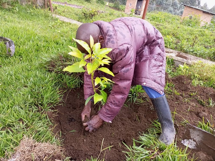 Ibiti bahawe ngo bazabibungabunga neza kuko babyitezeho kugira uruhare mu gukumira imirire mibi