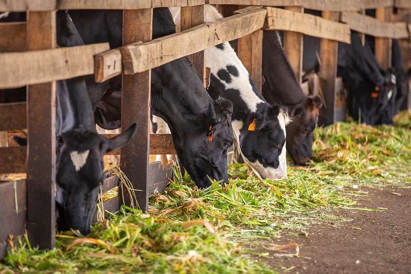 Bifuza ko igiciro cy