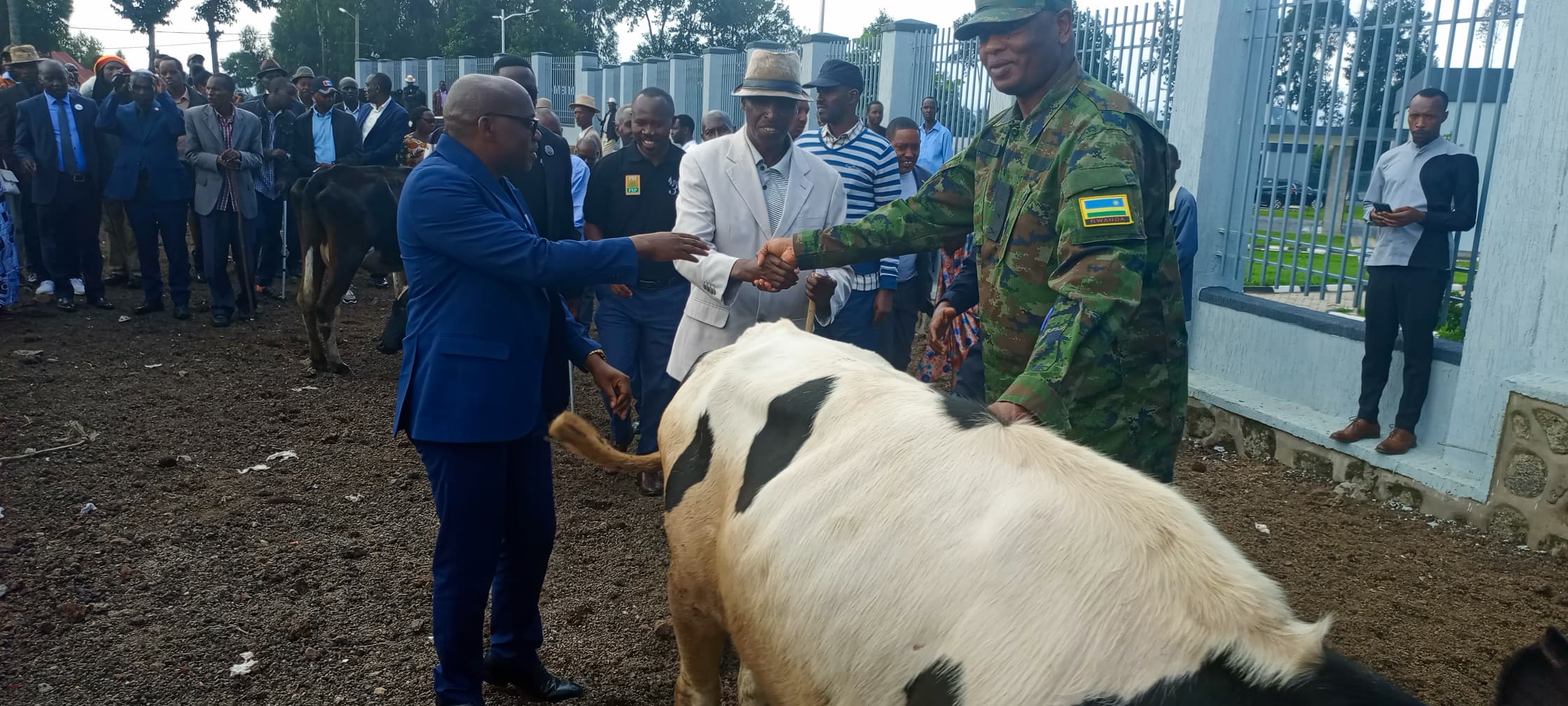 Guverineri Ntibitura ashyikiriza inka uwakomerekeye ku rugamba