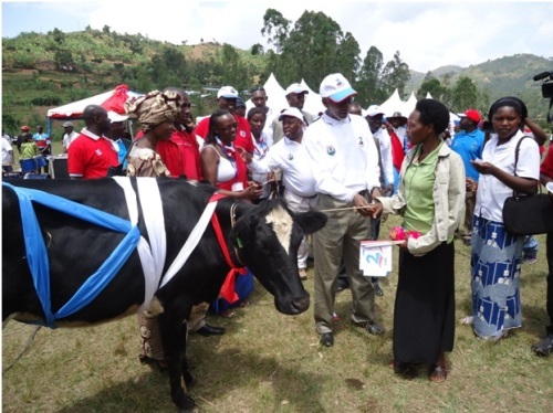 Abanyamuryango batishoboye borojwe inka, bahabwa n'ibindi bikoresho by'ibanze.